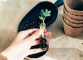 Eco-friendly practices for small businesses
