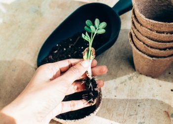 Growth hacking strategies for small businesses