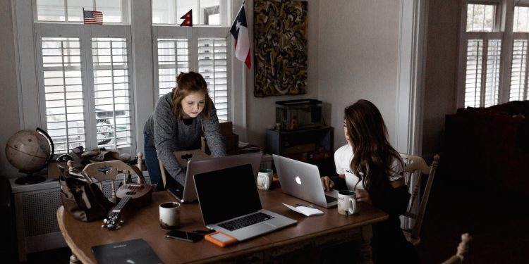 Small business ideas for students